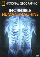  Невероятное тело человека смотреть онлайн (2007) 