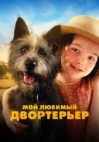  Мой любимый двортерьер смотреть онлайн (2024) 